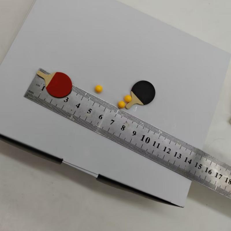 1세트 인형의 집 미니어처 탁구공 모델(라켓 2개 +  - Table Tennis Reference 리뷰 및 가격
